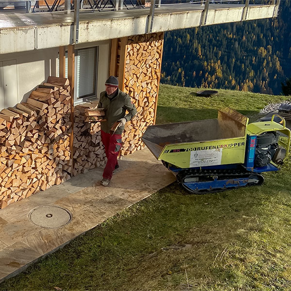 Brennholz